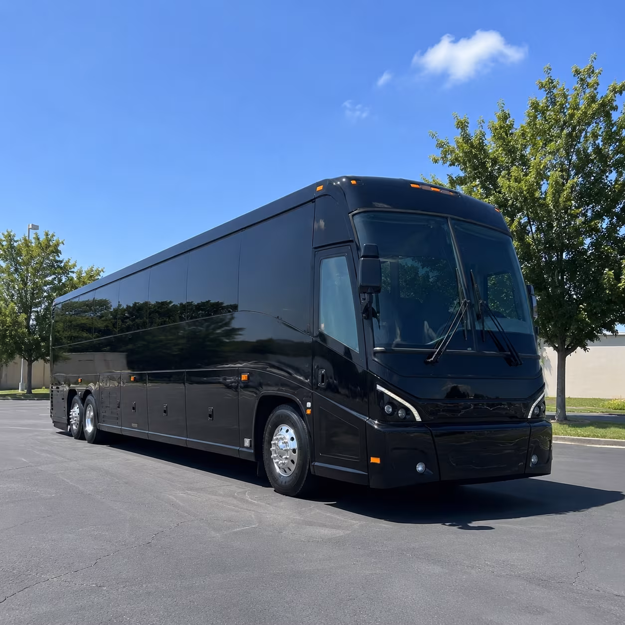 rio rancho wine tour brewery transportation onboard seating